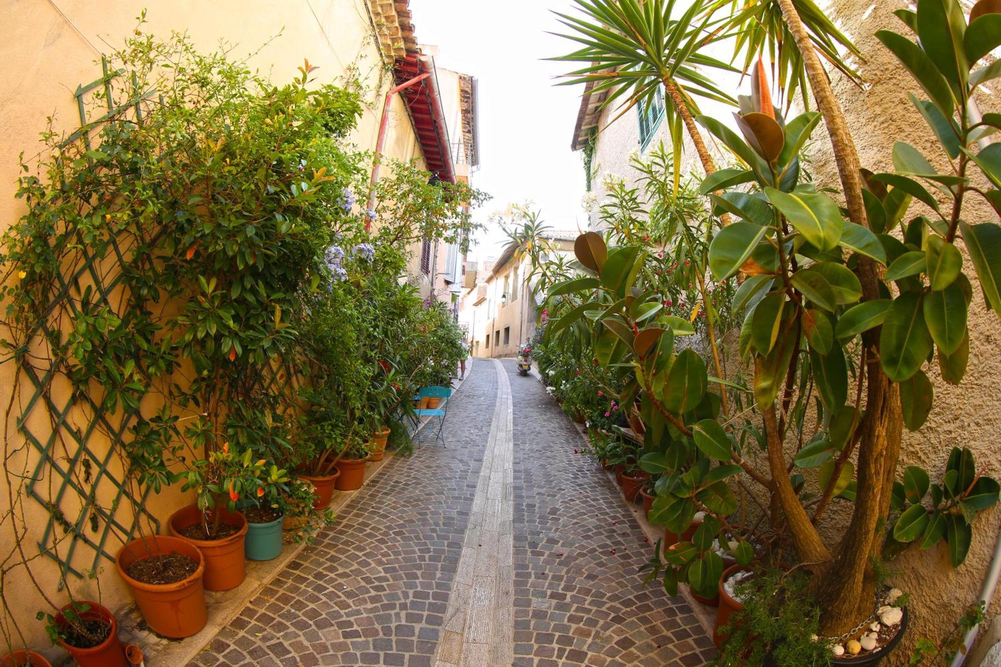 Au Centre De Apartment Cassis